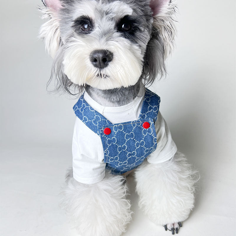 Gucci Dog Clothes