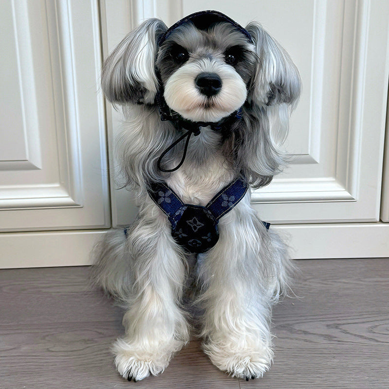 Gucci L* Pets Clothing