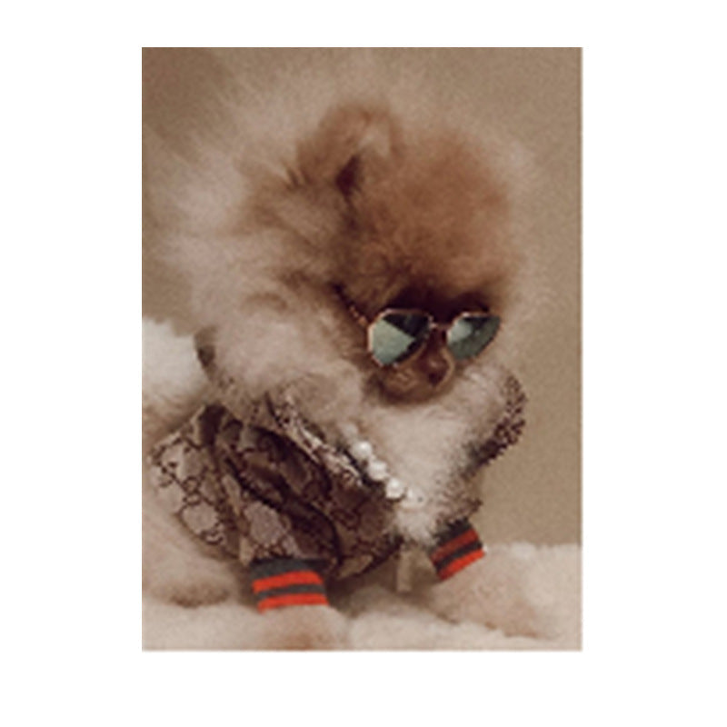 Gucci Puppy Jacket