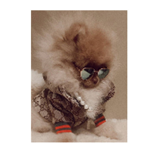 Gucci Puppy Jacket