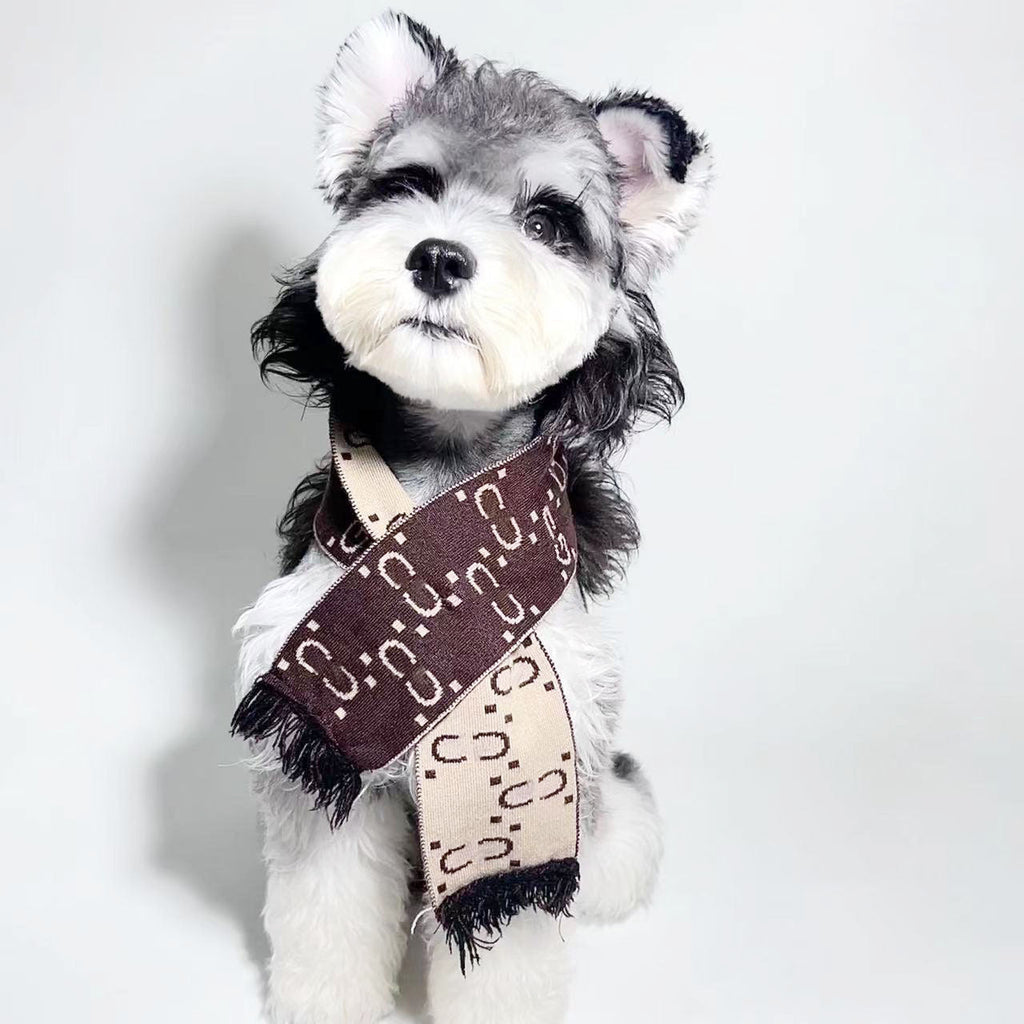 Gucci Dog Scarf