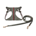 Gucci Pet Chest and Back Harness Leash Set