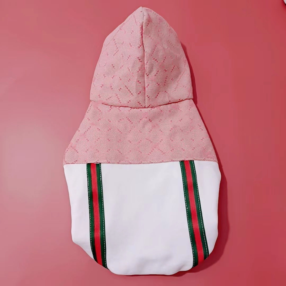 Gucci Teddy Puppy Clothes