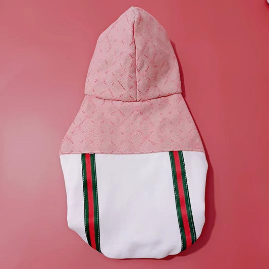 Gucci Teddy Puppy Clothes